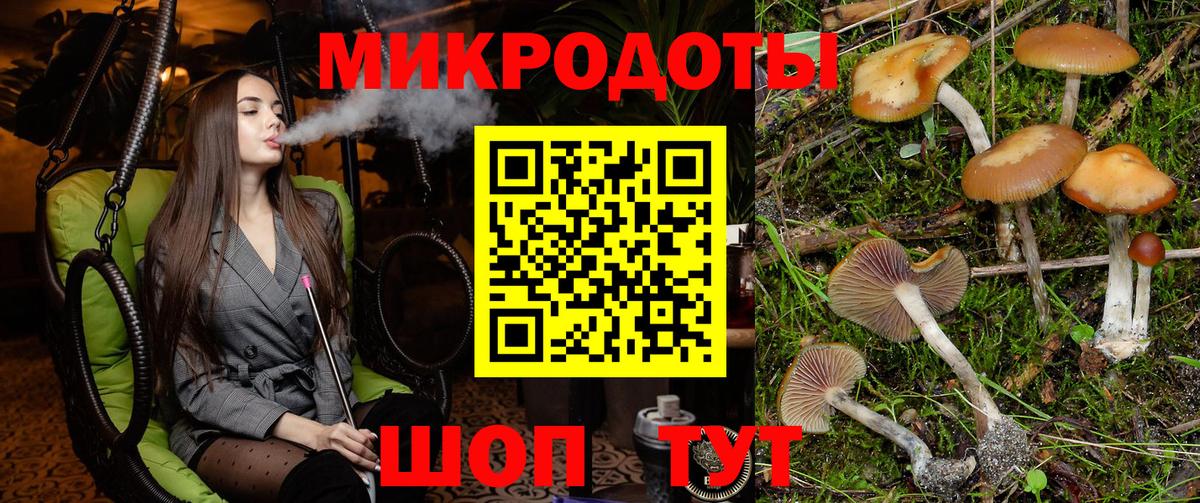 Галлюциногенные грибы Cubensis  Вход с VPN  Зеленогорск 